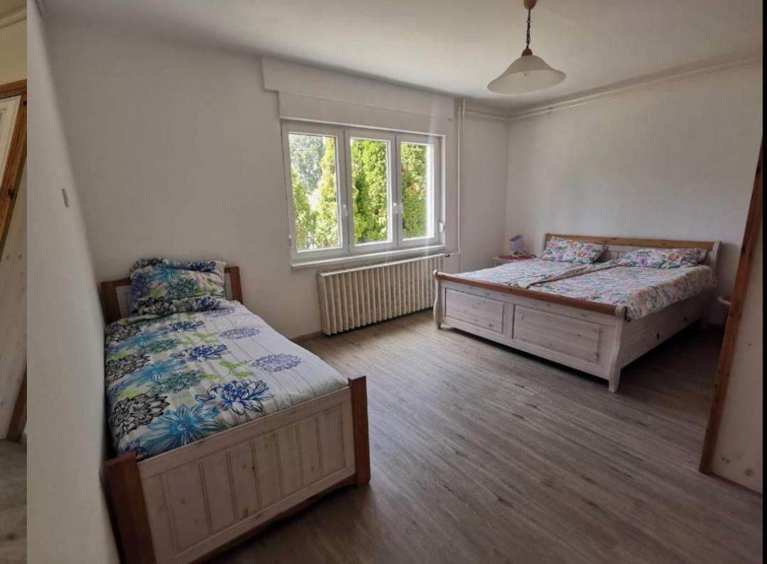 Grosses Ferienhaus Plattensee Balaton - Nyaralo Haz 6 Szobaval, 5 Fuerdoszobaval, 3000 Nm Apartment Szolad ภายนอก รูปภาพ